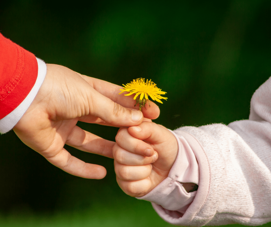 association adoption chat