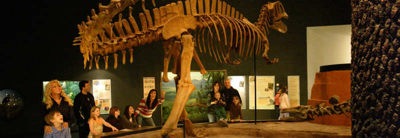 Delaware Museum of Natural History Dinosaur