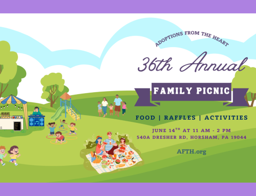 AFTH 2026’s Annual Family Picnic