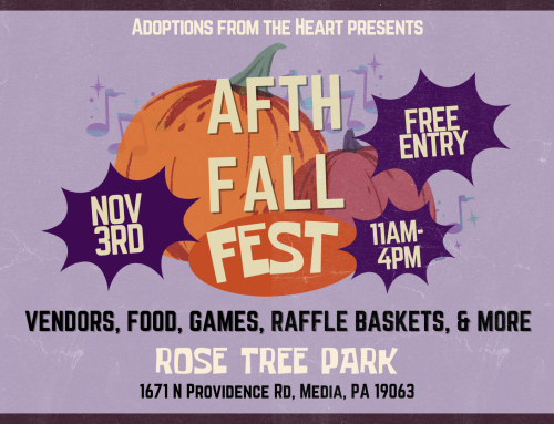Adoptions From The Heart Fall Fest