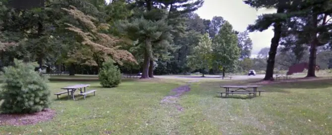 Adoption agency in king of Prussia, Pennsylvania near historical park