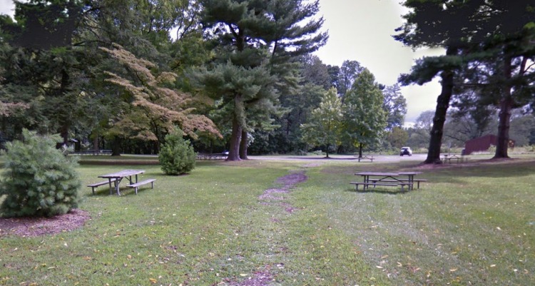 Adoption agency in king of Prussia, Pennsylvania near historical park