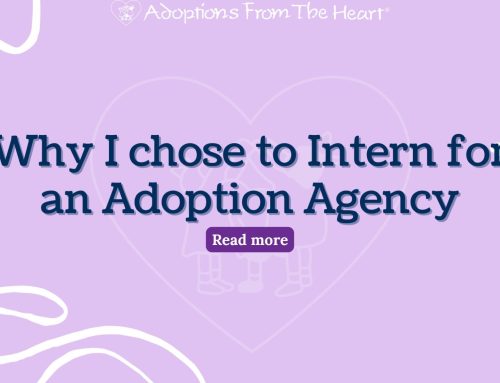 Why I chose to Intern for an Adoption Agency