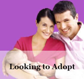 We are looking to adopt
