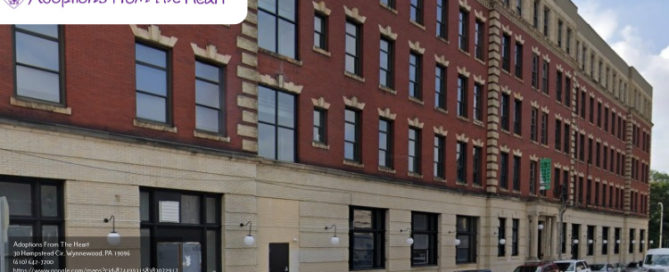 Philadelphia, PA adoption agency near art gallery