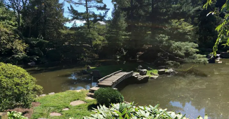Philadelphia adoption agency near japanese garden