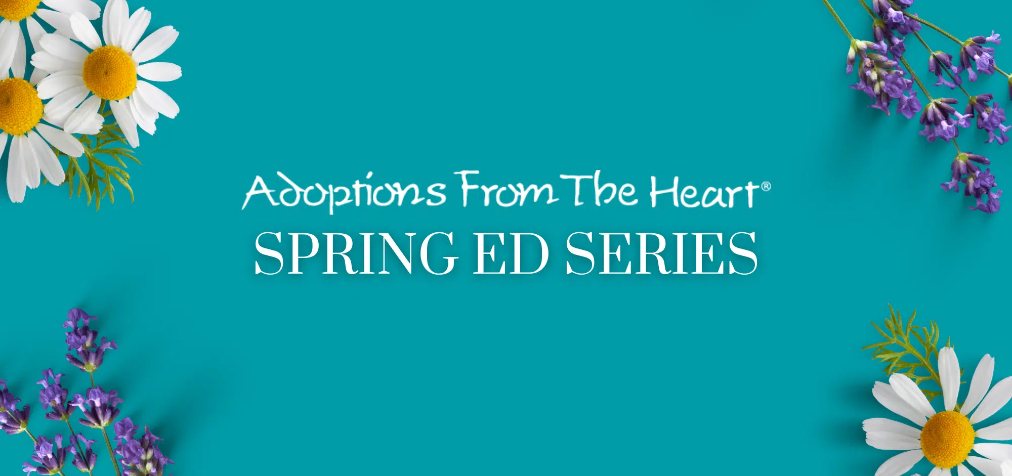 Announcing Spring Educational Series for Prospective Adoptive Parents!