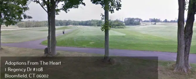 adoption agency in Bloomfield, CT near wintonbury golf course