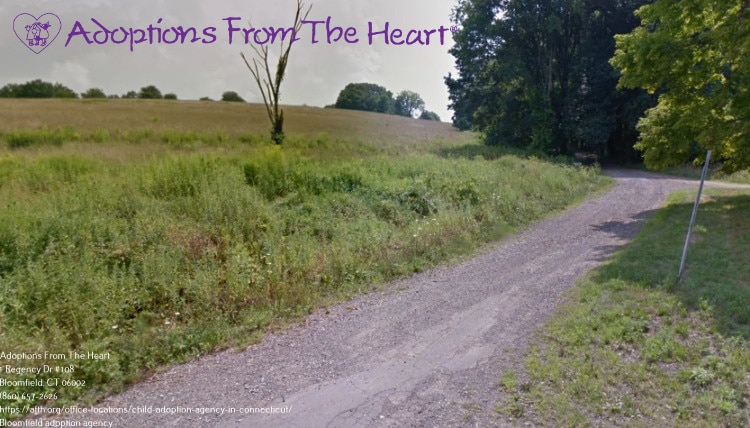 adoption agency in Bloomfield, Connecticut near park