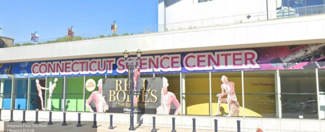 adoption agency in Bloomfield, Connecticut near science center