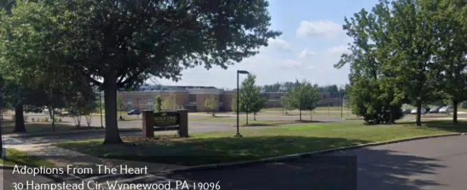 adoption-agency-in-Bucks-County-PA-near-high-school