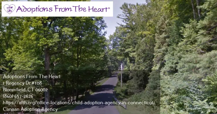 adoption-agency-in-Canaan-Connecticut-near-forest-iron-trail
