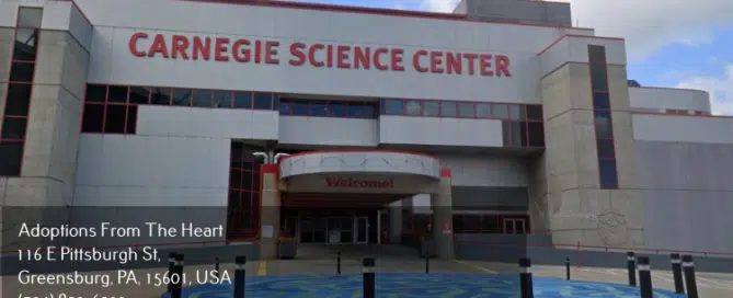 adoption agency in Chateau near carnegie science center