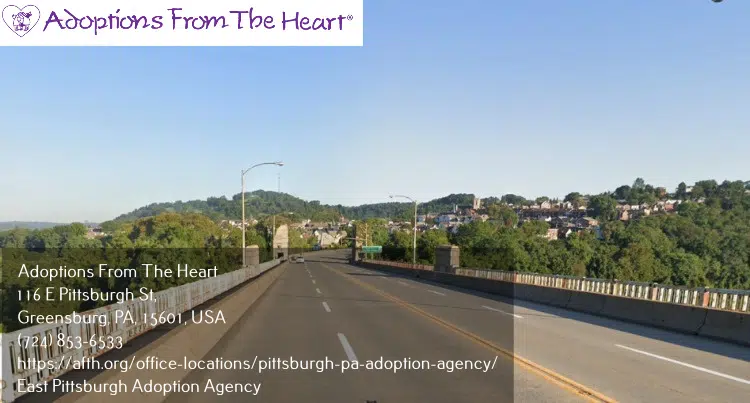 adoption agency in East Pittsburgh near George Washington Bridge