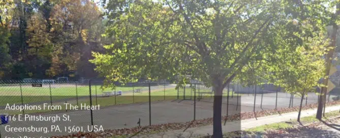 adoption-agency-in-Edgewood-Pennsylvania-near-Koenig-field