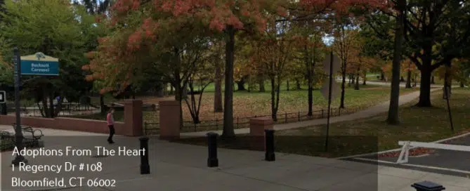 adoption agency in Hartford, CT near connecticut science center