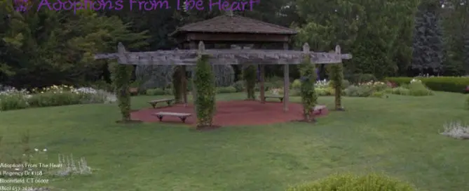 adoption agency in Hartford, Connecticut near rose garden