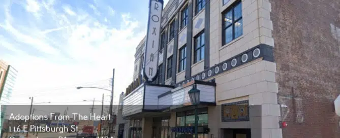 adoption agency in McKees Rocks, Pennsylvania near Roxian Theatre