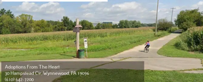 adoption-agency-in-Montgomery-County-Pennsylvania-near-farm-park
