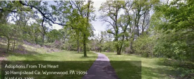 adoption agency in Philadelphia County, Pennsylvania near tacony creek park