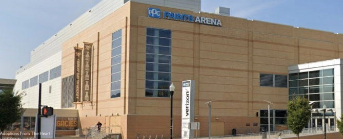 adoption agency in Pittsburgh near arena