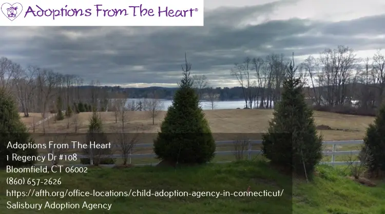 adoption agency in Salisbury, Connecticut near lake