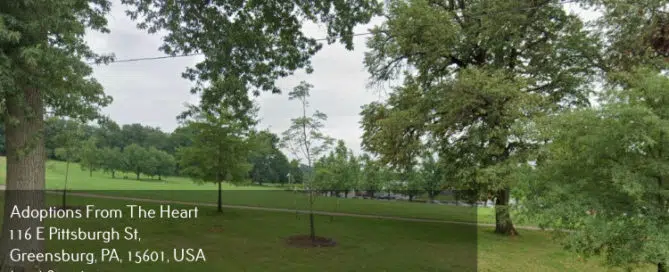 adoption-agency-in-Squirrel-Hill-PA-near-botanical-gardens