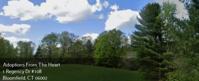 adoption-agency-in-Torrington-CT-near-state-park