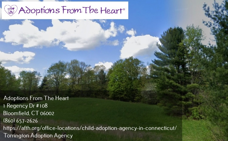 adoption-agency-in-Torrington-CT-near-state-park