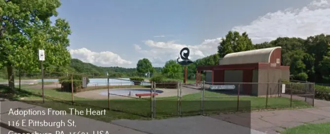 adoption agency in Brighton Heights, Pennsylvania near Brighton Heights Park