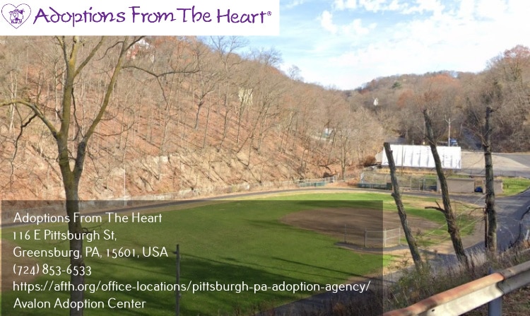 adoption center in Avalon, PA near community park