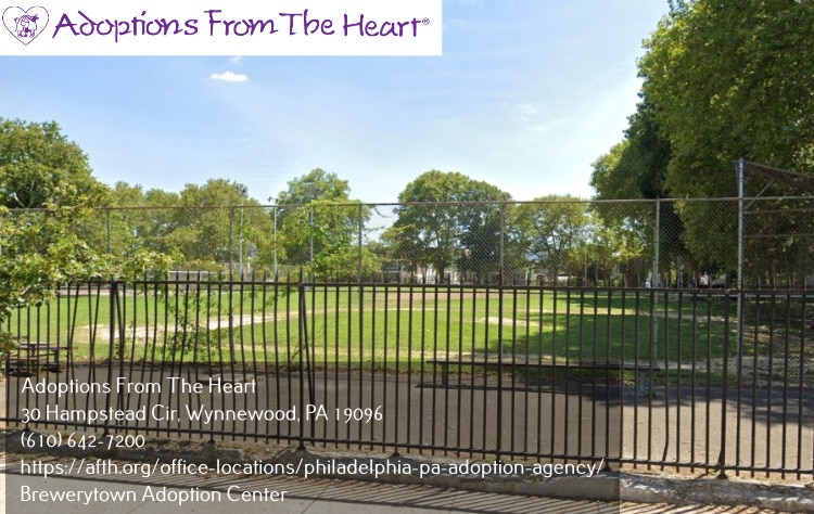 adoption center in Brewerytown, PA near athletic square park