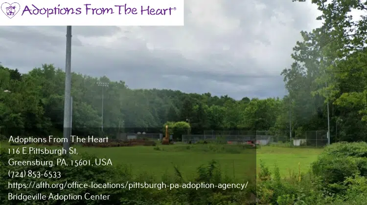 adoption center in Bridgeville, Pennsylvania near Mclaughlin Park