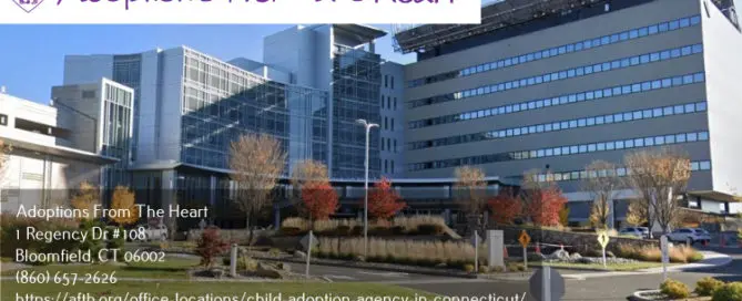 adoption center in Danbury, CT near Danbury Hospital