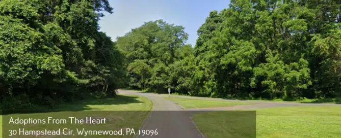 adoption-center-in-Delaware-County-PA-near-ridley-state-park