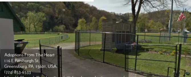 adoption center in Etna, PA near dougherty trail