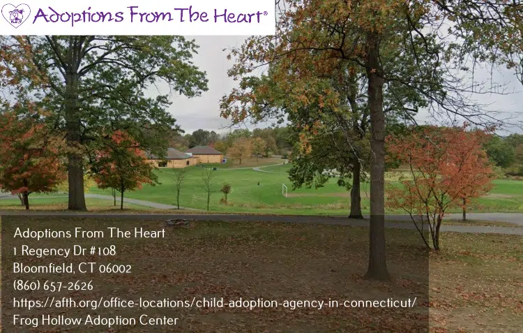 adoption center in Frog Hollow, Connecticut near Pope Park