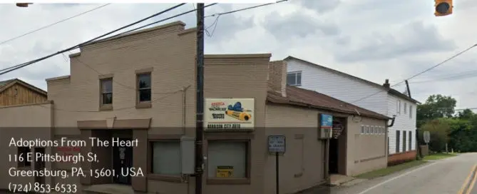 adoption center in Harrison City, Pennsylvania near auto repair