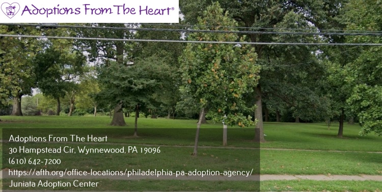 adoption center in Juniata, PA near Juniata park