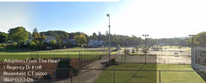 adoption center in Manchester, Connecticut near park