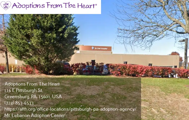 adoption center in Mt. Lebanon, PA near St. Clair Hospital