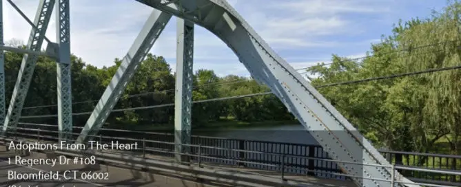 adoption center in New Milford, Connecticut near river