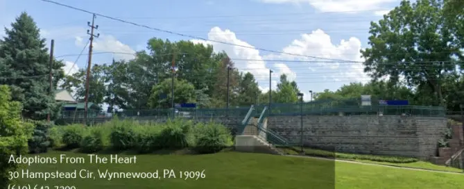 adoption center in Radnor Township, Pennsylvania near train station