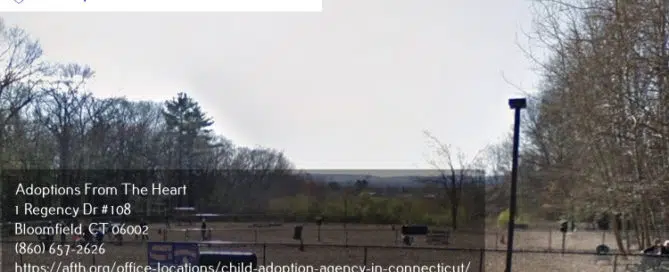adoption center in South Windsor, CT near park