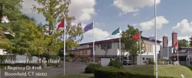 adoption center in West Hartford, Connecticut near childrens museum