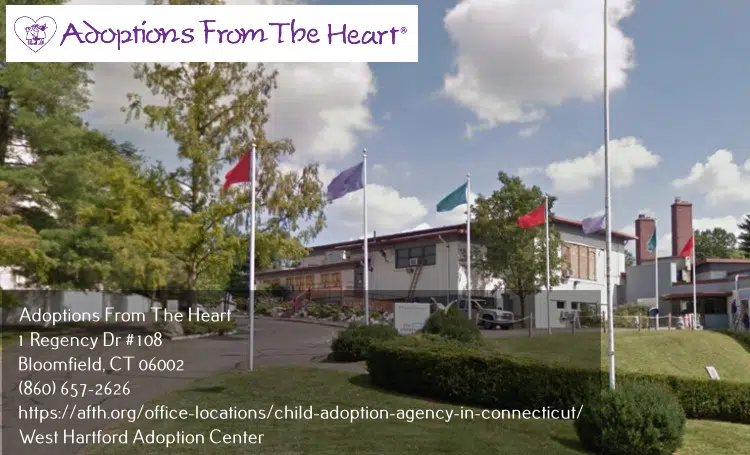 adoption center in West Hartford, Connecticut near childrens museum
