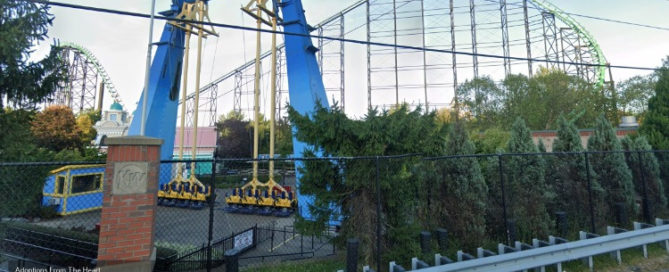 adoption center in West Mifflin near amusement park