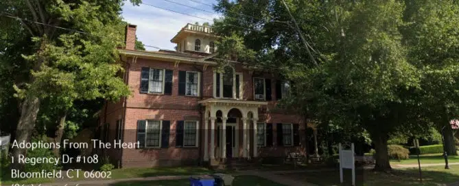 adoption center in Wethersfield, Connecticut near museum