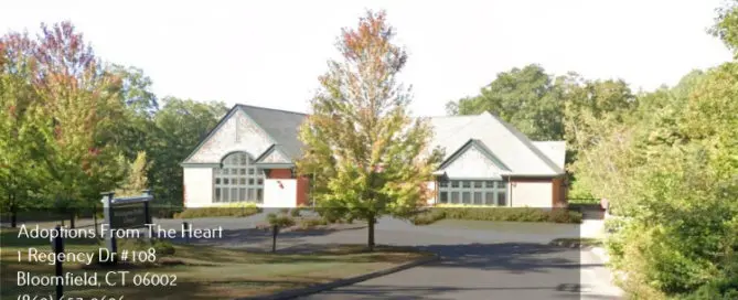 adoption center in Willington, Connecticut near Public Library