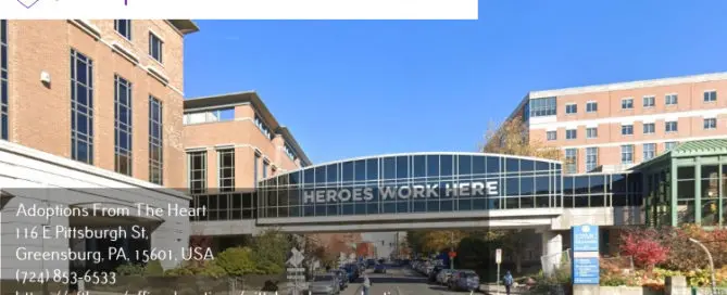 adoption center near UPMC Shadyside Hospital